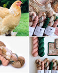 Backyard Chickens-Sock sets by Hue Loco