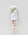 Camellia SW Merino DK- Rainbow Sprinkles