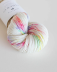Camellia SW Merino DK- Rainbow Sprinkles