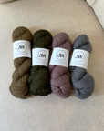 Darwin DK by Annabel Williams