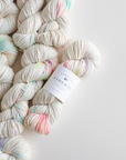 Camellia SW Merino DK- Rainbow Sprinkles
