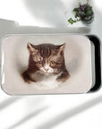 Firefly Notes Small Notions Tins