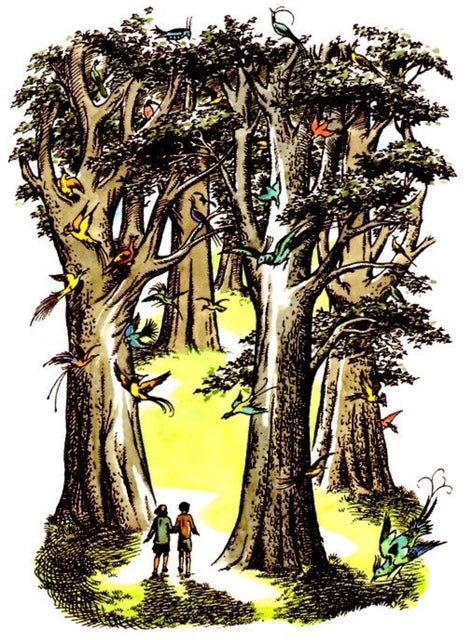 Chapter Two: The Path Ahead