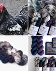 Backyard Chickens-Sock sets by Hue Loco
