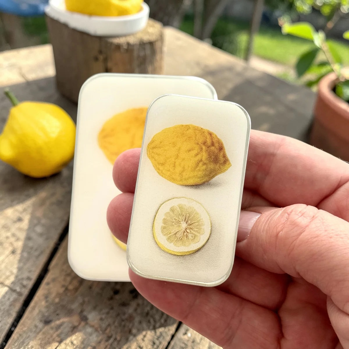 Firefly Notes Small Notions Tins