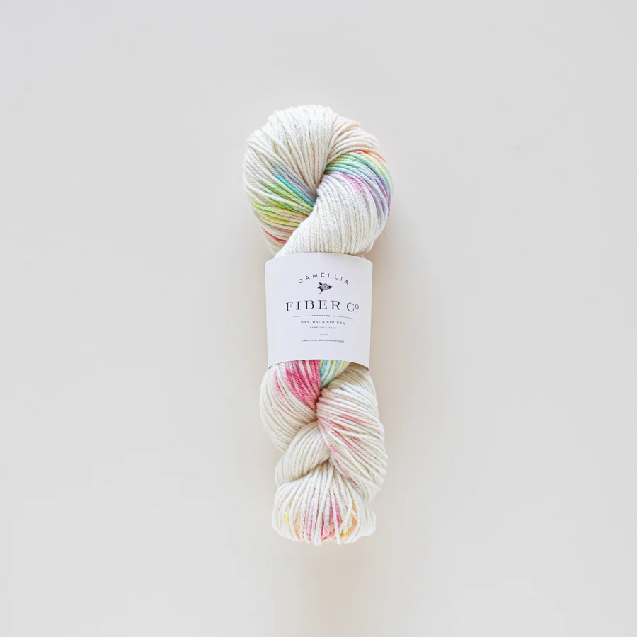 Camellia SW Merino DK- Rainbow Sprinkles