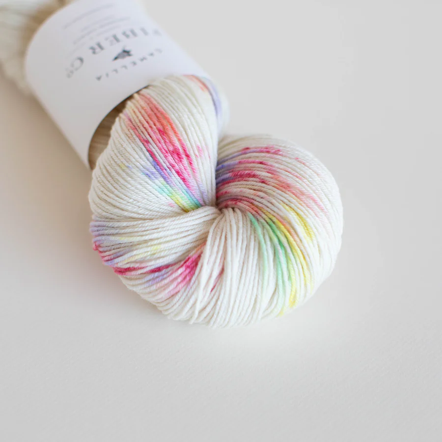 Camellia SW Merino DK- Rainbow Sprinkles