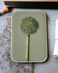 Firefly Notes Large Notions Tins