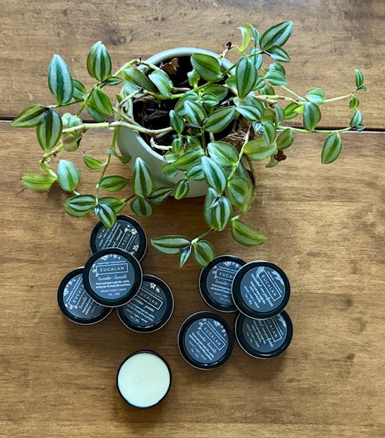 Eucalan Hand Balm