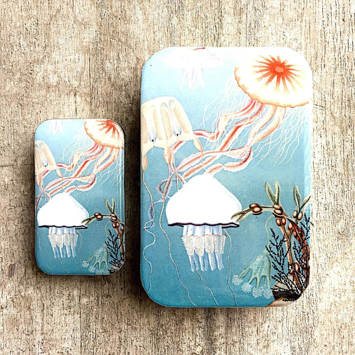 Firefly Notes Large Notions Tins