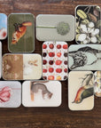 Firefly Notes Large Notions Tins