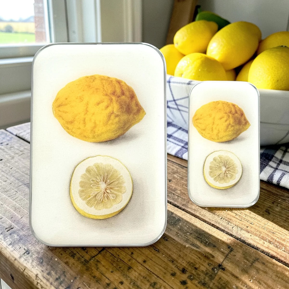 Firefly Notes Large Notions Tins