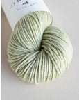 Camellia Serene Aran