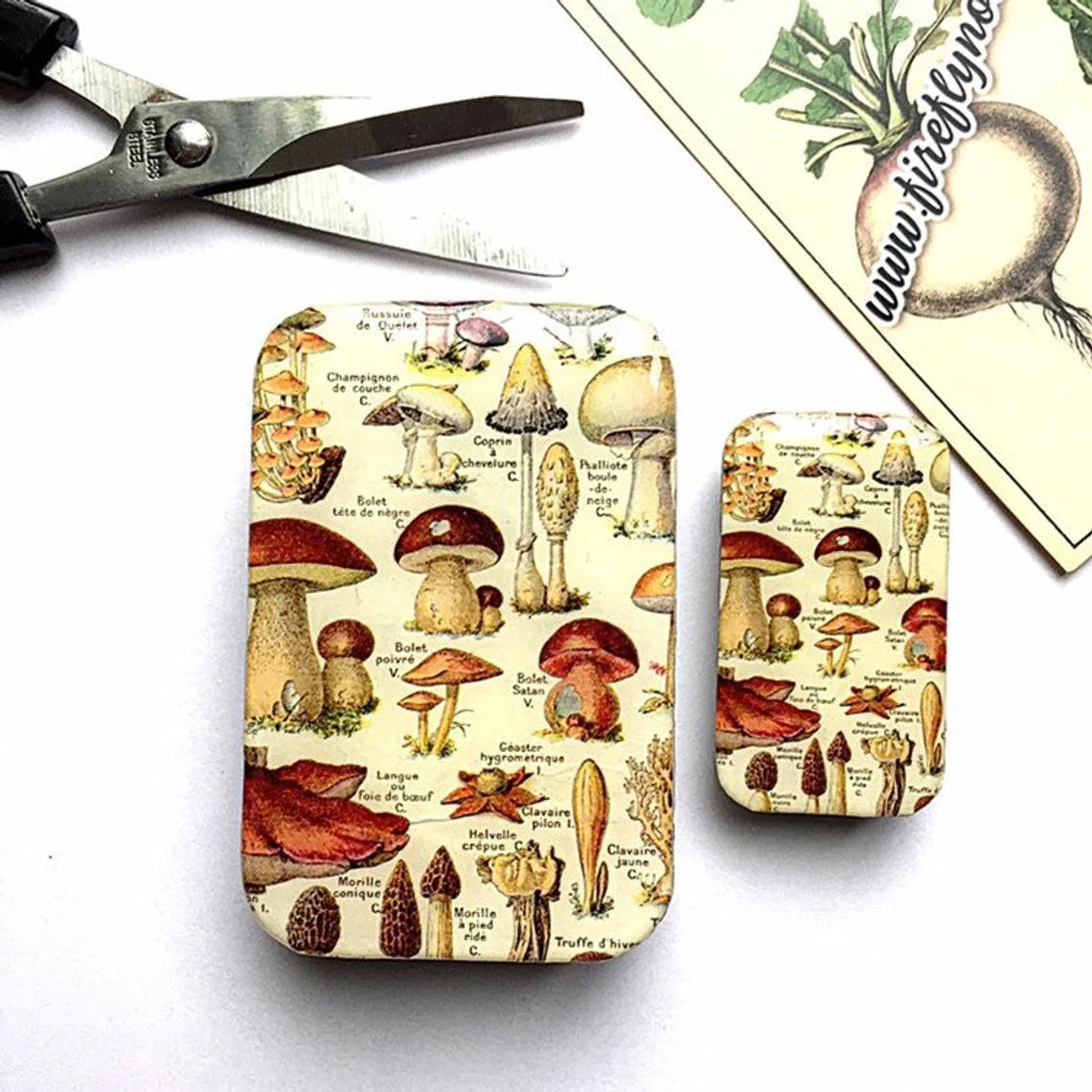 Firefly Notes Large Notions Tins