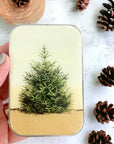 Firefly Notes Large Notions Tins