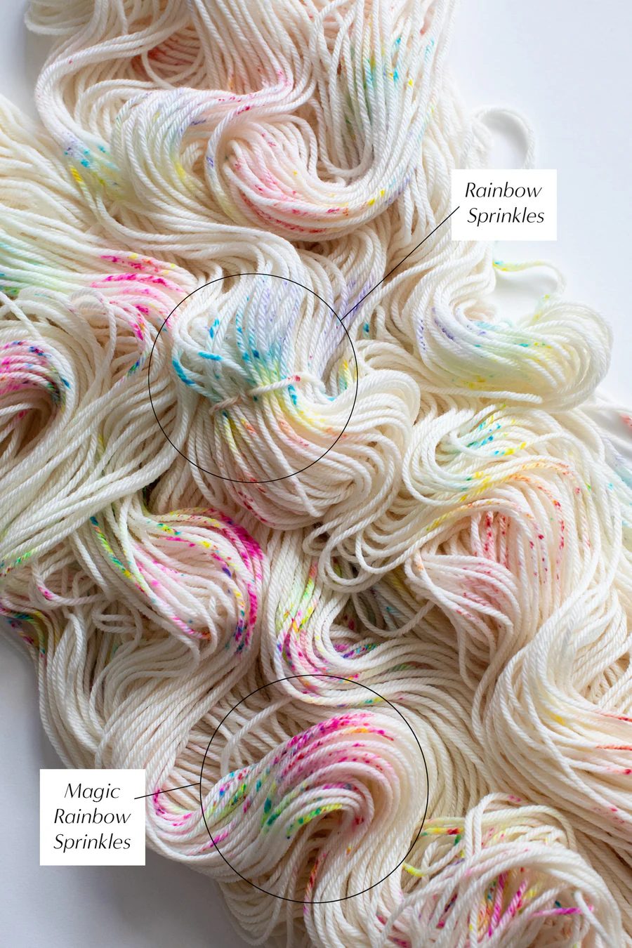 Camellia SW Merino DK- Rainbow Sprinkles