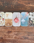 Firefly Notes Small Notions Tins